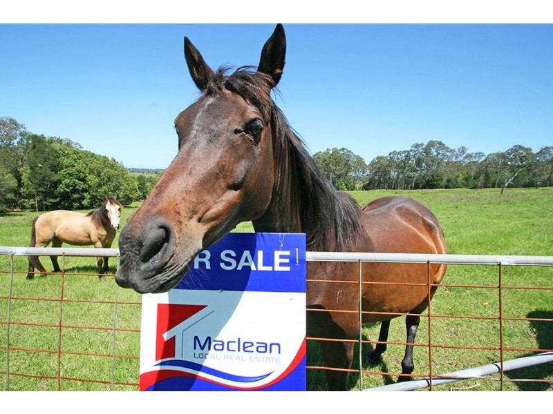 Maclean NSW 2463