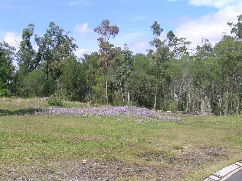 Maclean NSW 2463