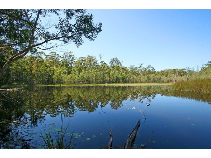 695 Jackybulbin Road, Jacky Bulbin Flat NSW 2463