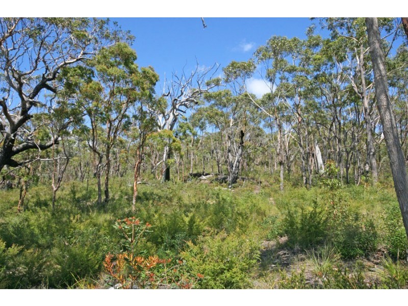 Lot 2 Brooms Head Road, Brooms Head NSW 2463