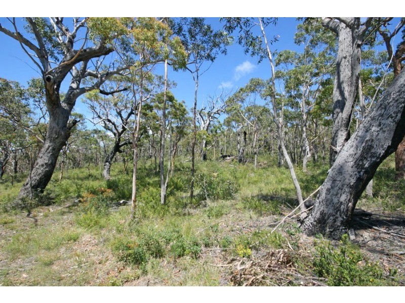 Lot 2 Brooms Head Road, Brooms Head NSW 2463