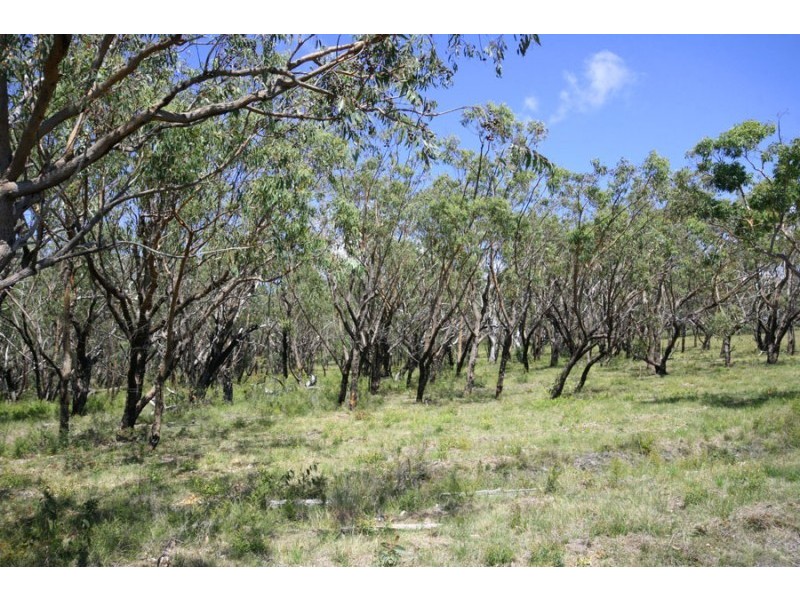 Lot 2 Brooms Head Road, Brooms Head NSW 2463