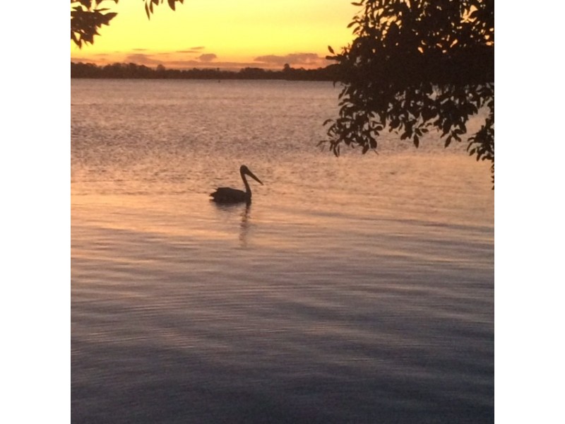 2A Cameron Street, Maclean NSW 2463