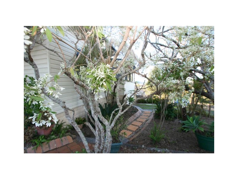 6 Salen Street, Maclean NSW 2463