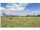 138 Sportsmans Creek Road, Lawrence NSW 2460