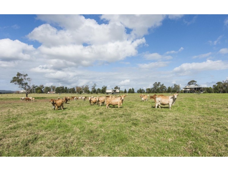 138 Sportsmans Creek Road, Lawrence NSW 2460