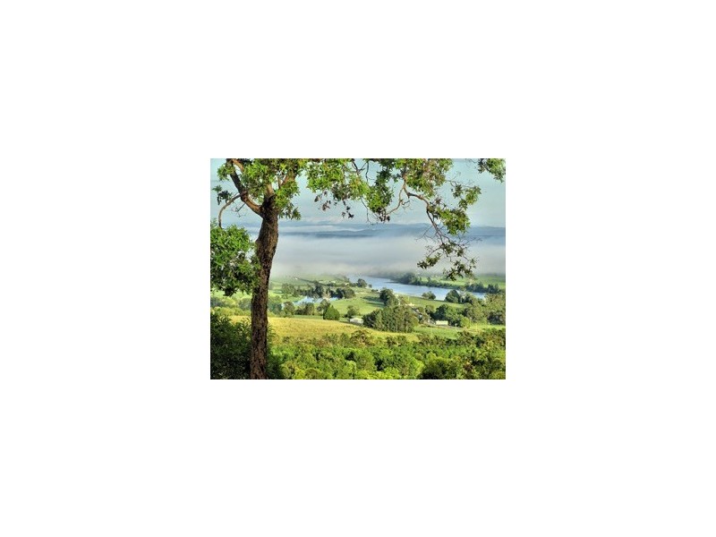 52 Benson Lane, Tyndale NSW 2460