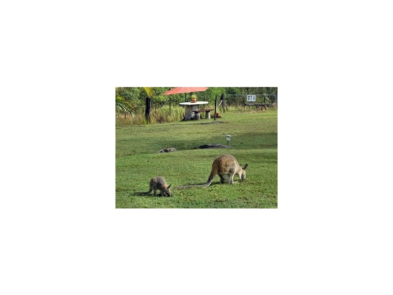 52 Benson Lane, Tyndale NSW 2460