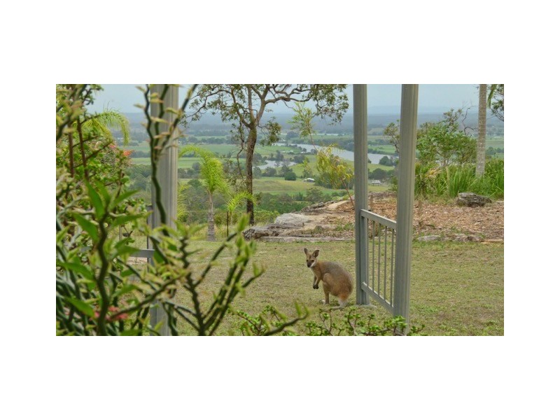 52 Benson Lane, Tyndale NSW 2460