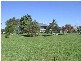 Lawrence NSW 2460