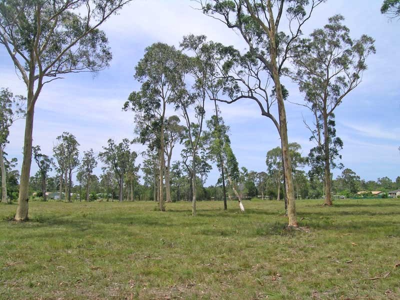 Cockatiel Crescent, Gulmarrad NSW 2463