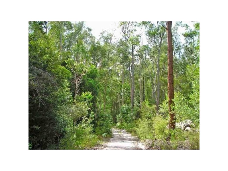 Ashby NSW 2463