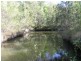 Ashby NSW 2463