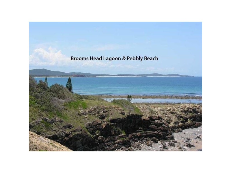 92 Ocean Road, Brooms Head NSW 2463