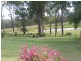 Ashby NSW 2463