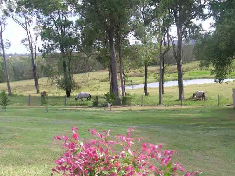 Ashby NSW 2463