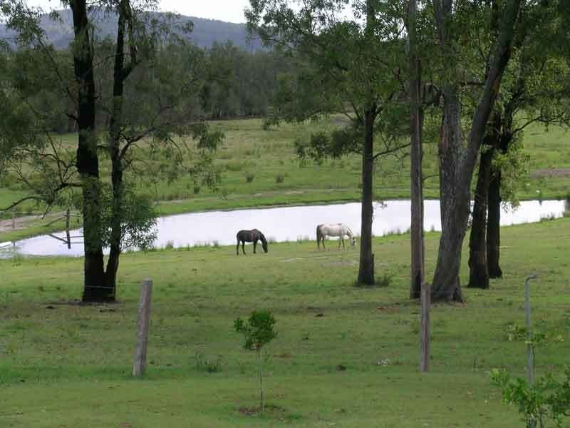 Ashby NSW 2463