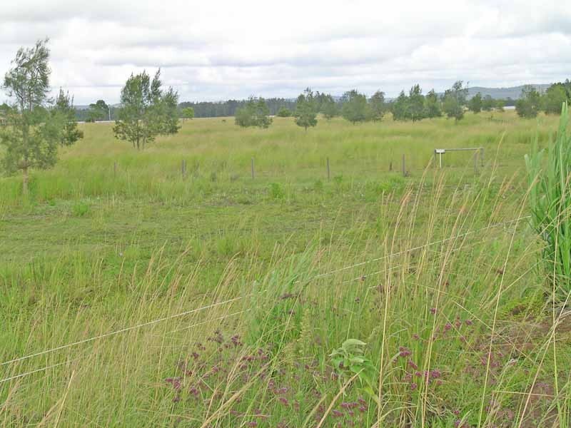 Palmers Island NSW 2463