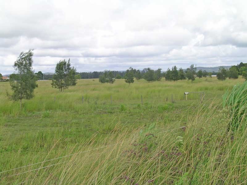 Palmers Island NSW 2463