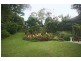 Maclean NSW 2463
