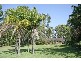 Woombah NSW 2469