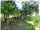 Lawrence NSW 2460