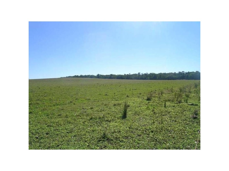 James Creek NSW 2463