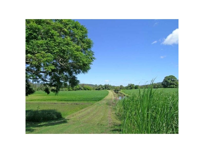 Chatsworth NSW 2469