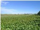 Chatsworth NSW 2469
