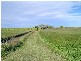 Chatsworth NSW 2469