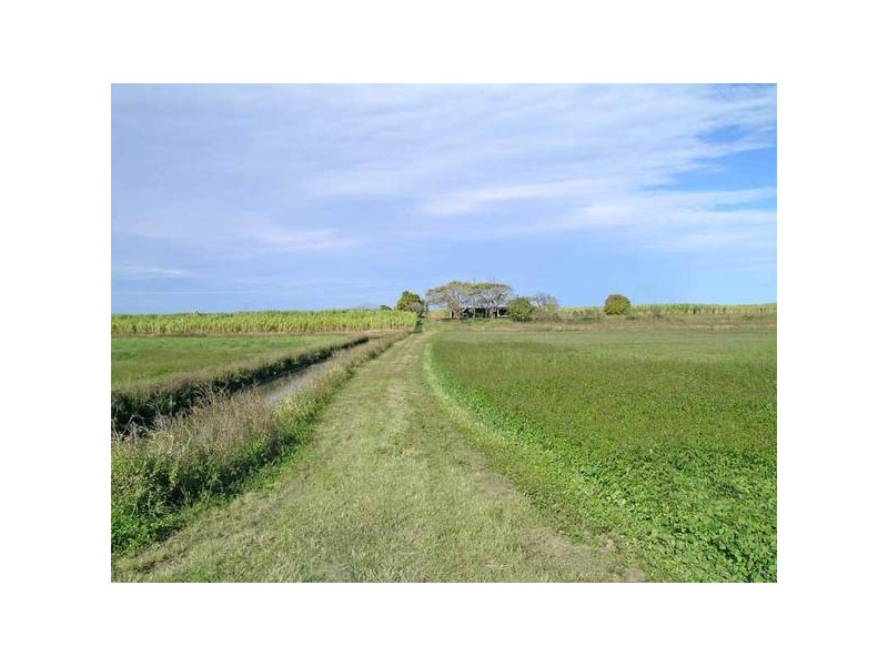 Chatsworth NSW 2469