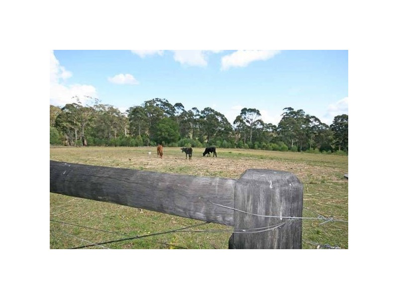 James Creek NSW 2463