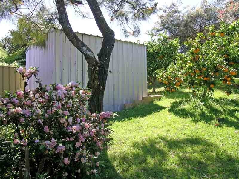Maclean NSW 2463