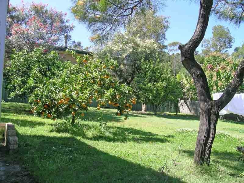 Maclean NSW 2463