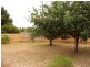 10 Smythe St,, Corinella VIC 3984