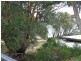 3 Hugh St, Corinella VIC 3984