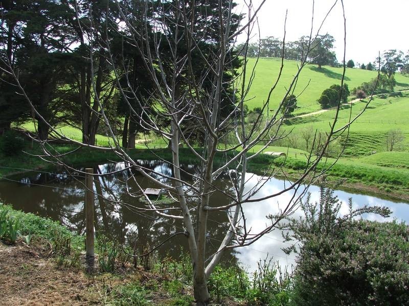 200 Gary Road, Grantville VIC 3984
