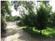8 Balcombe Street, Corinella VIC 3984