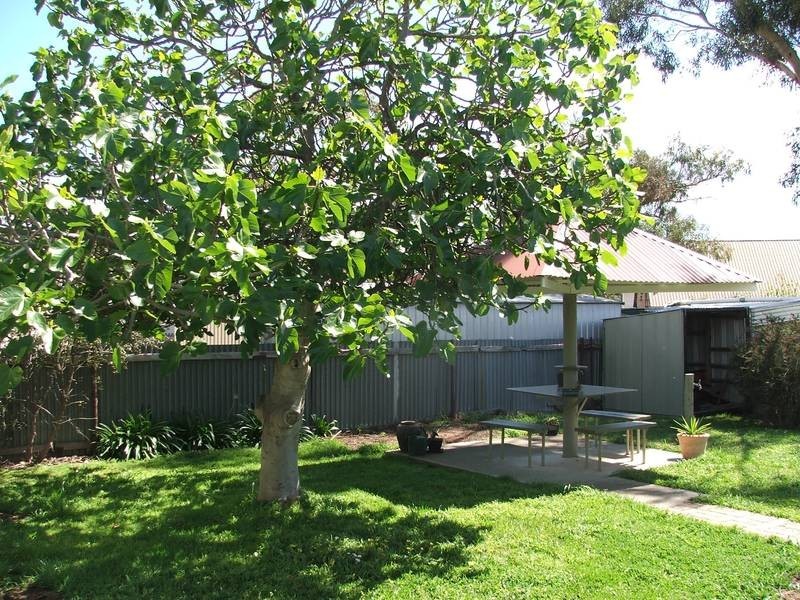 20 Shenandoah Rd, Coronet Bay VIC 3984