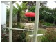53 Cuttysark Rd, Coronet Bay VIC 3984