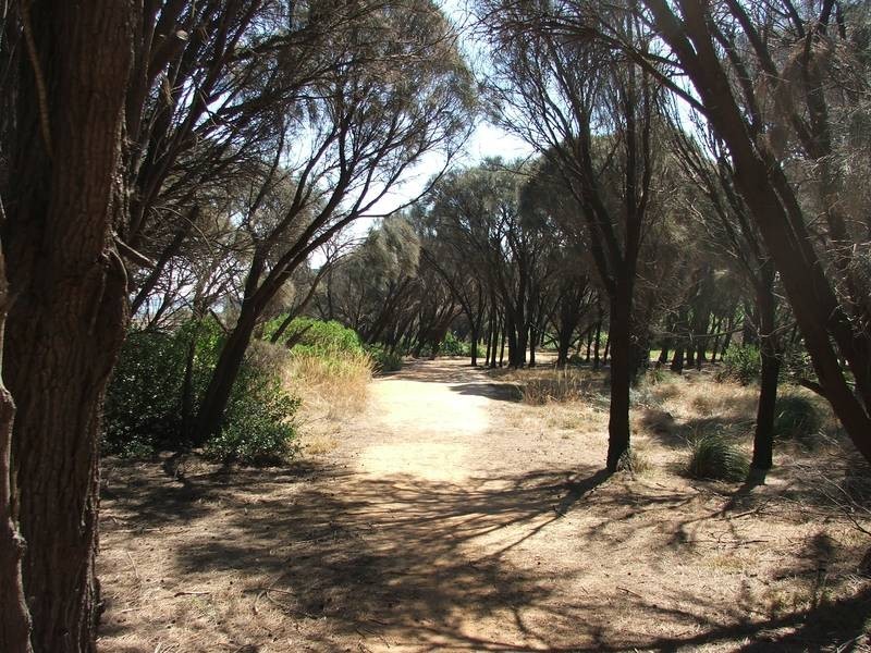 21 Hughes Street, Corinella VIC 3984