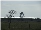 188 Bass Highway, Grantville VIC 3984