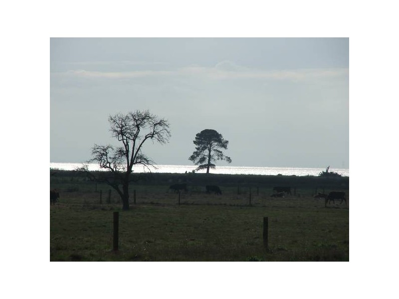 188 Bass Highway, Grantville VIC 3984