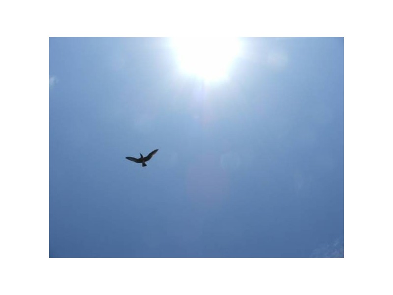 9 Beach Boulevard, Pioneer Bay VIC 3984