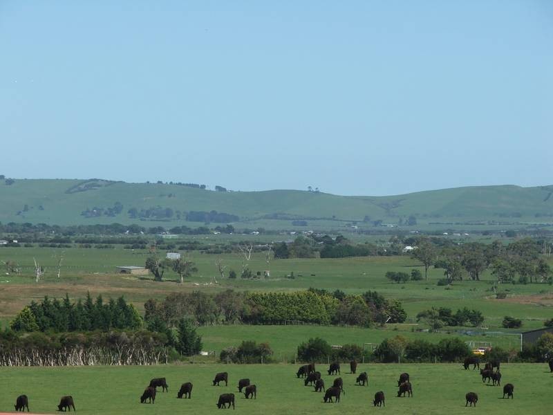 362 Agars Rd, Coronet Bay VIC 3984