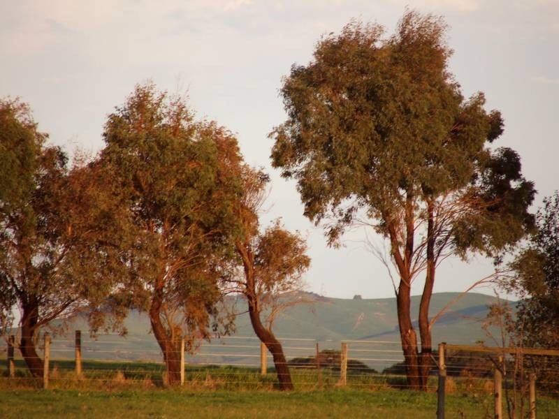 6 Joseph Road, Corinella VIC 3984