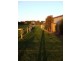 6 Joseph Road, Corinella VIC 3984
