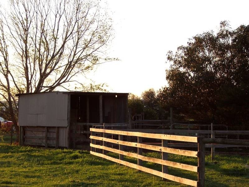 6 Joseph Road, Corinella VIC 3984