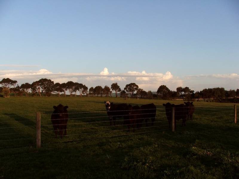 6 Joseph Road, Corinella VIC 3984