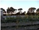 6 Joseph Road, Corinella VIC 3984